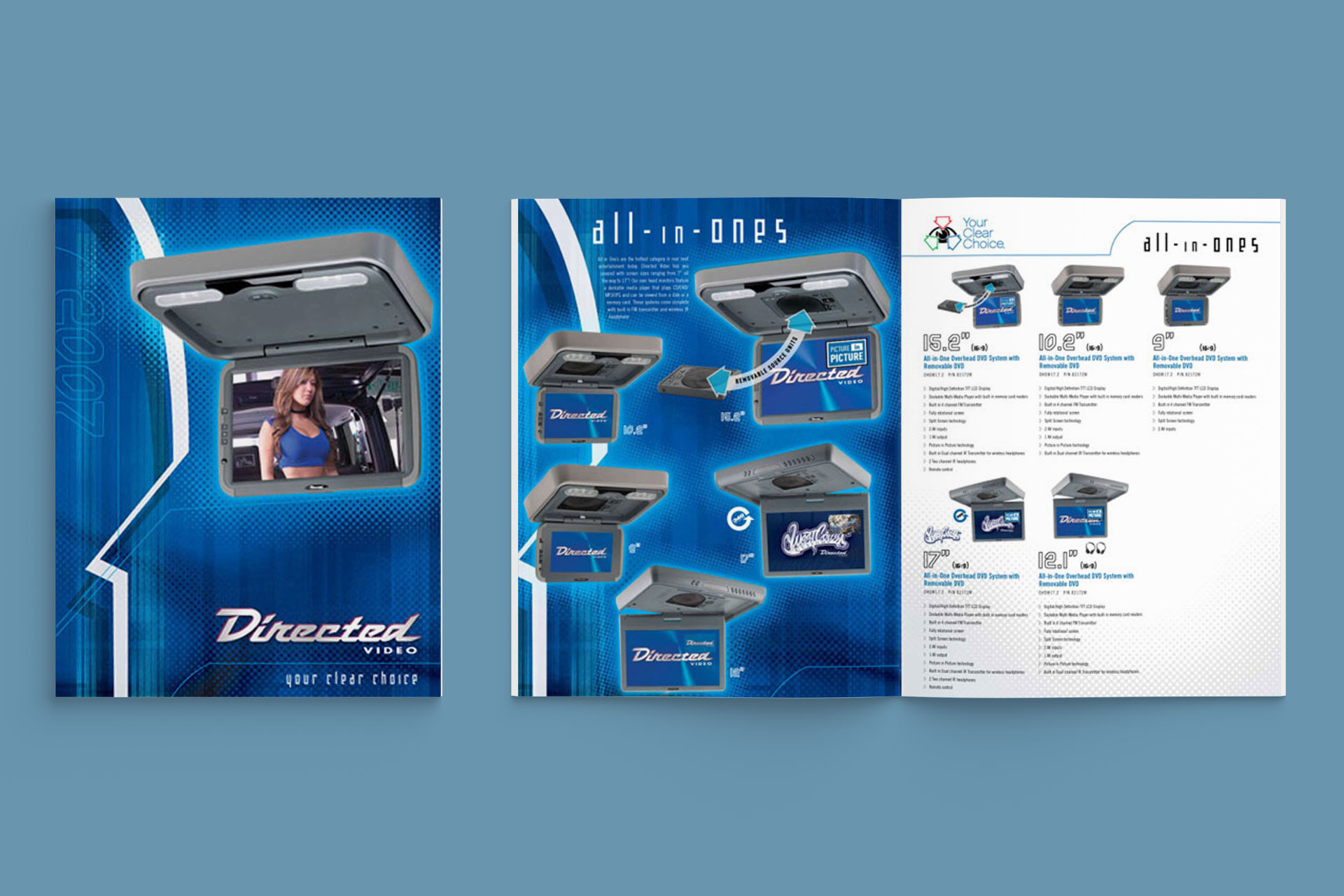 Directed Electronics product catalog