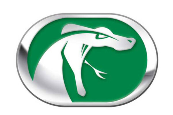 Directed Electronics Python Logo